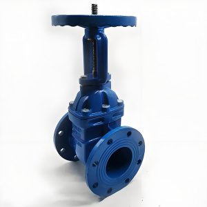 手動閘閥Z41T-16 DN50/DN65廠家直銷，上海發(fā)