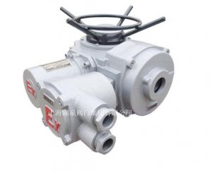 物聯(lián)網(wǎng)ZB90-24(380)推力型閥門(mén)電動(dòng)裝置