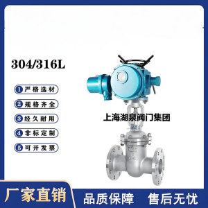 Z941W-16P，DN250，CF8/F304不銹鋼電動閘閥