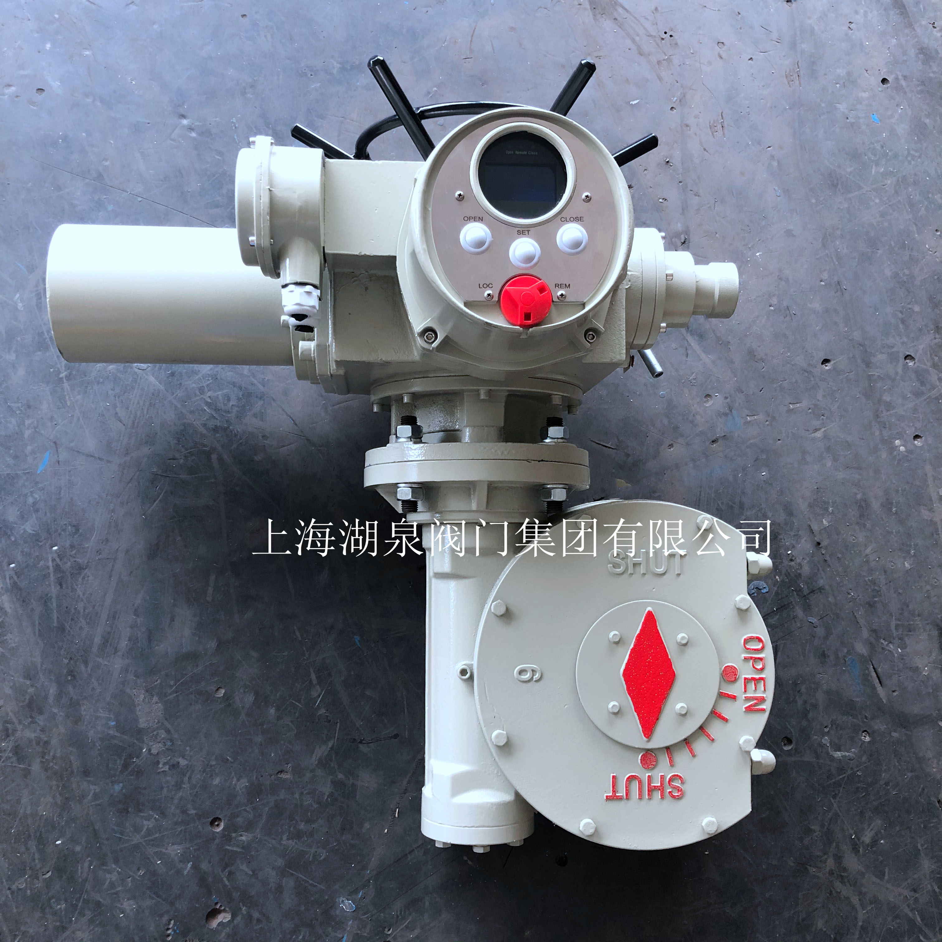 電動(dòng)閥門(mén)裝置